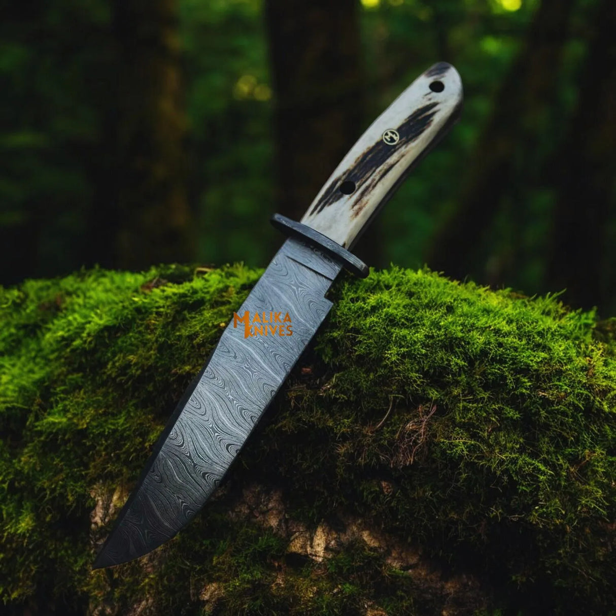 Damascus Stag Handle Bowie Knife Full Tang
